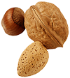 Almond, hazelnut & walnut Almond, hazelnut & walnut