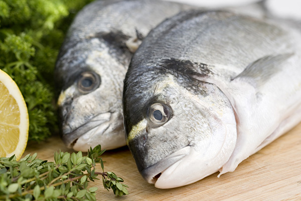 Fresh from the sea Fresh from the sea