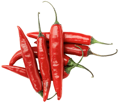 Chilli